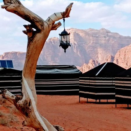 Desert Tree Camp&Tours วาดิรัม ภายนอก รูปภาพ