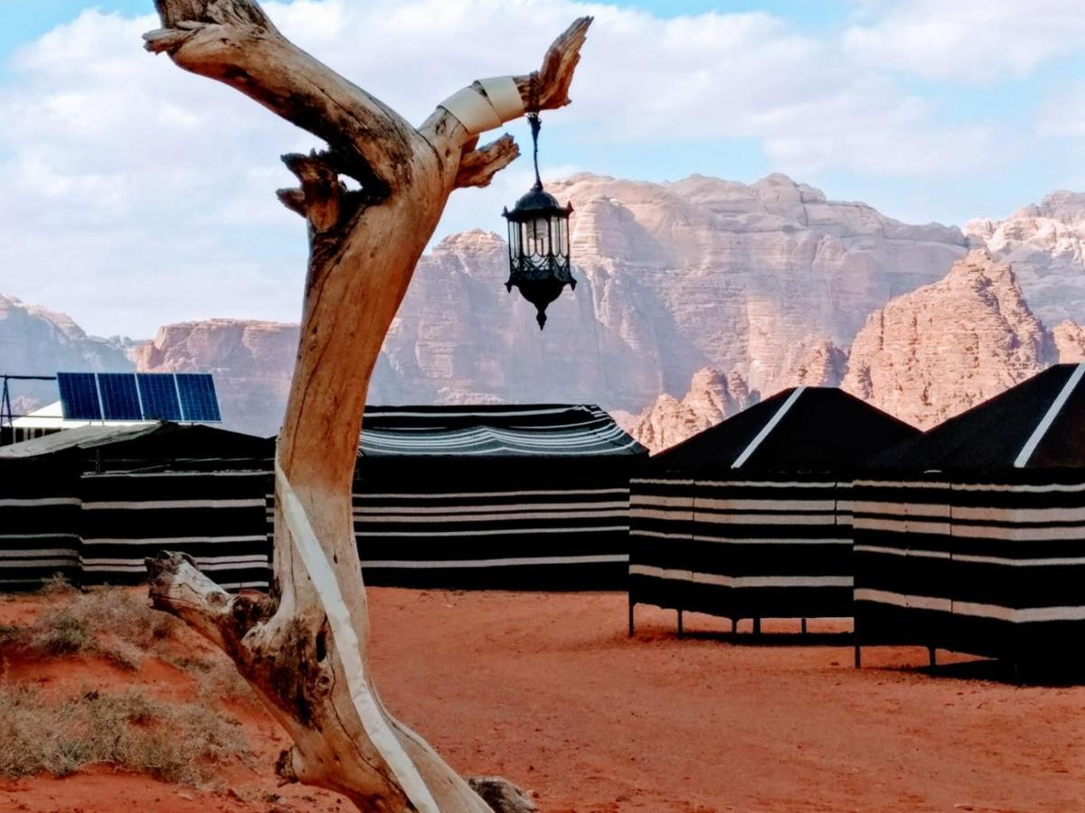 Desert Tree Camp&Tours วาดิรัม ภายนอก รูปภาพ
